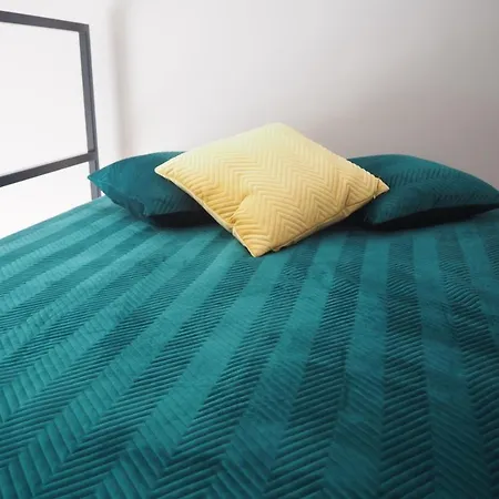 - Piotrkowska 37 Lägenhet