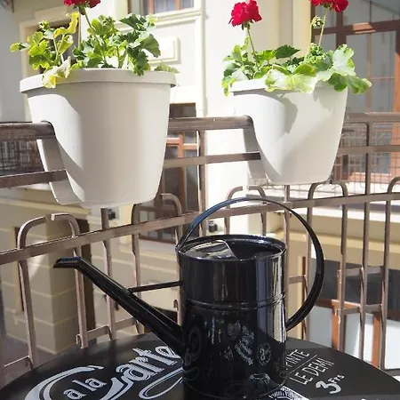 - Piotrkowska 37 Łódź