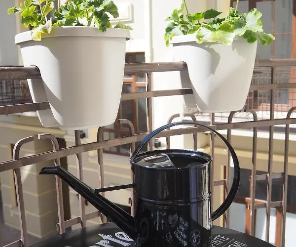 - Piotrkowska 37 Łódź